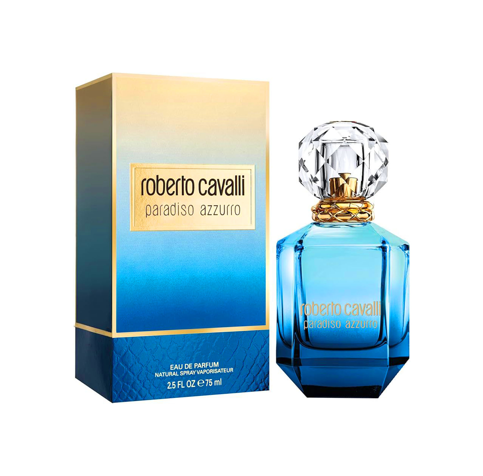 روبرتو كافالي باراديسو أزورو